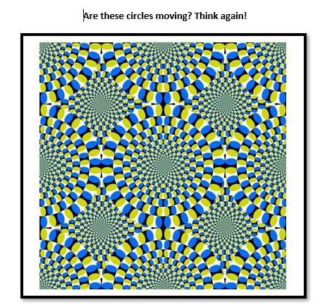 Daily Discovery: Optical Illusions & Color Vision - Fort Collins Museum