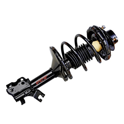 Complete Strut Assemblies | FCS Automotive International