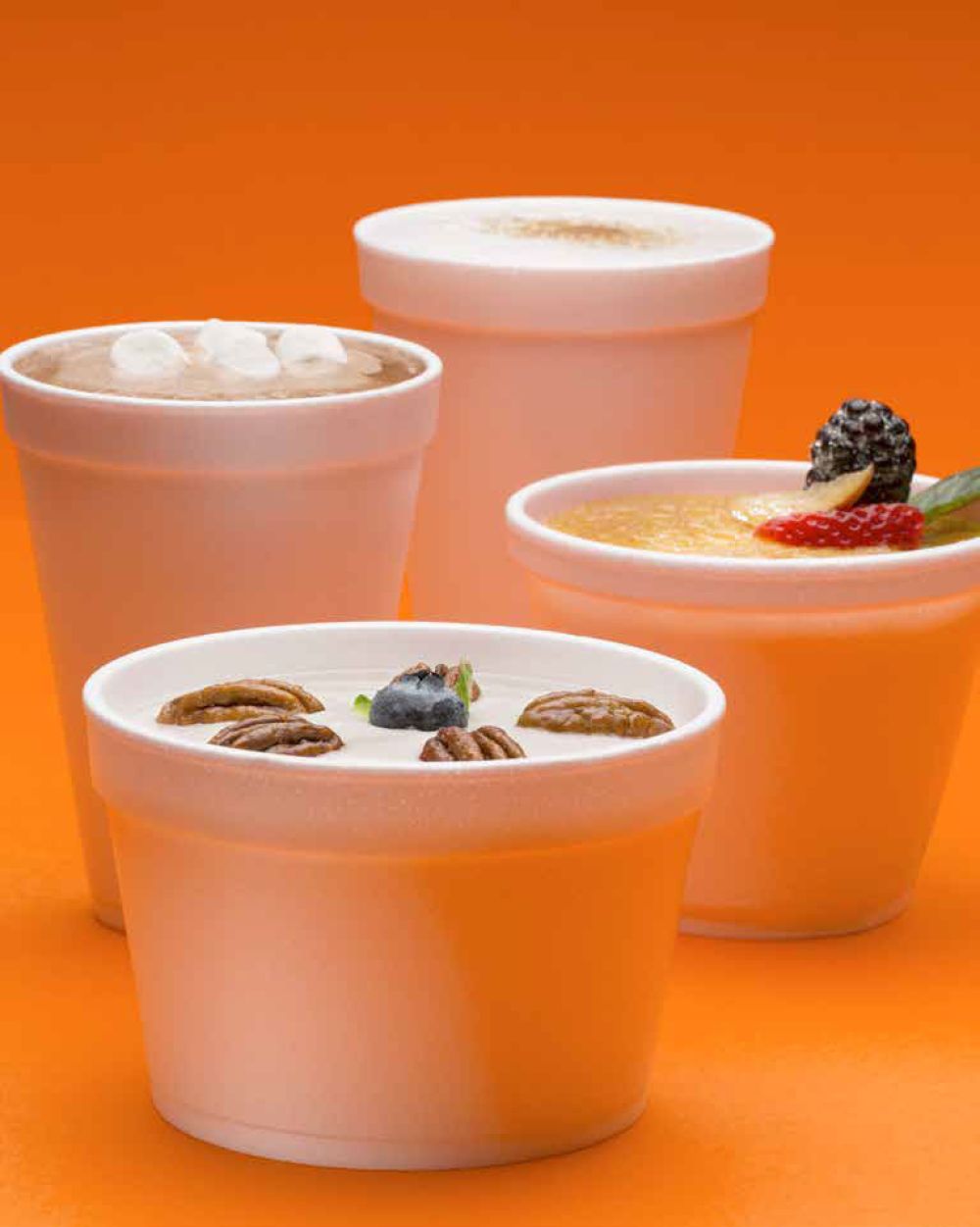 FCS Distributor Wholesale seller Foam Cups in Houston TX