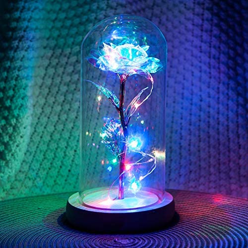 Rose of Love™ Forever Rose Under Glass Dome Gifts for Women 10 40