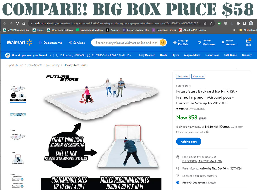 20' x 10' Backyard Ice Rink Kit Tarps & TieDowns Forest City