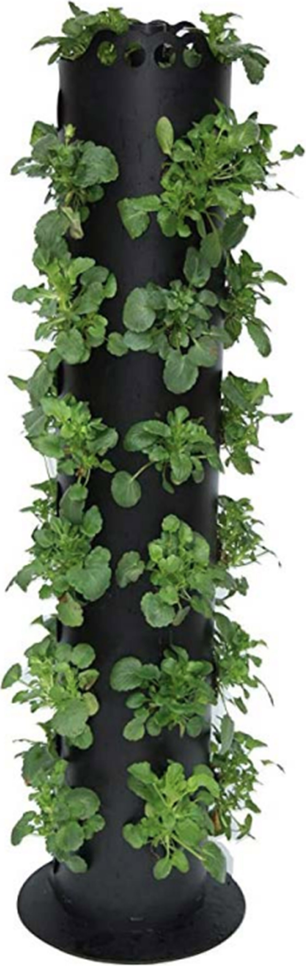 Holland Greenhouse Vertical Planter Patio & Garden Forest City