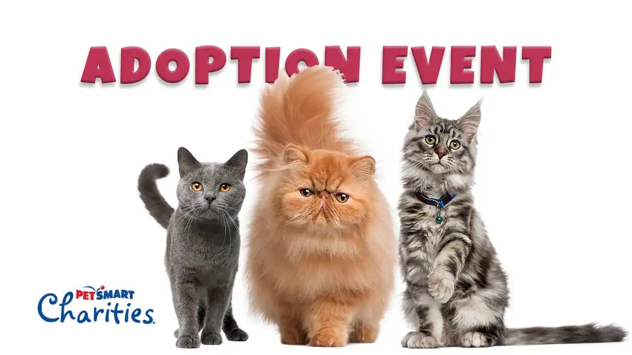 PetSmart National Adoption Week BHC