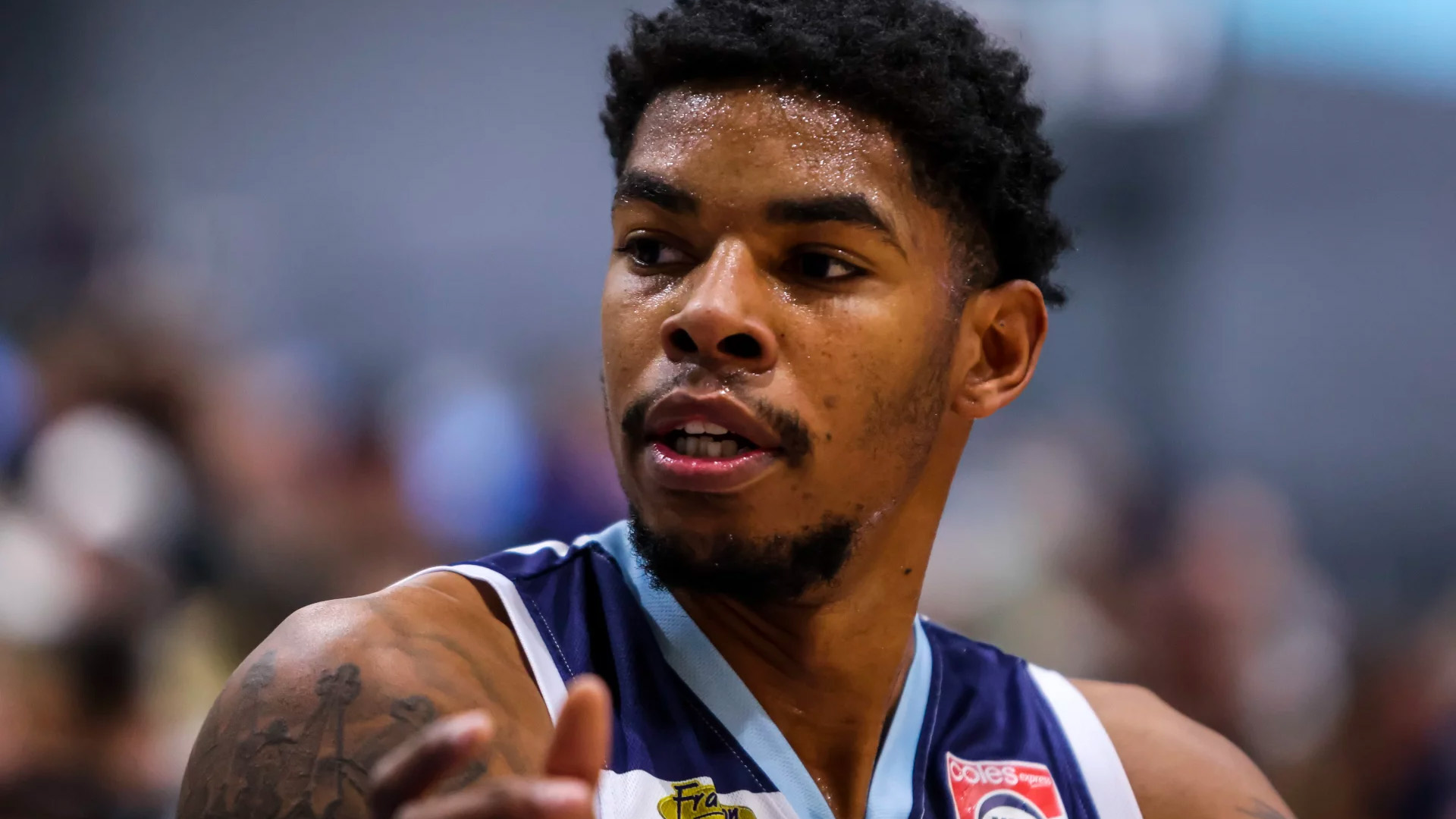 FRANKSTON EMBRACE THE WILDCARD TITLE Frankston & District Basketball