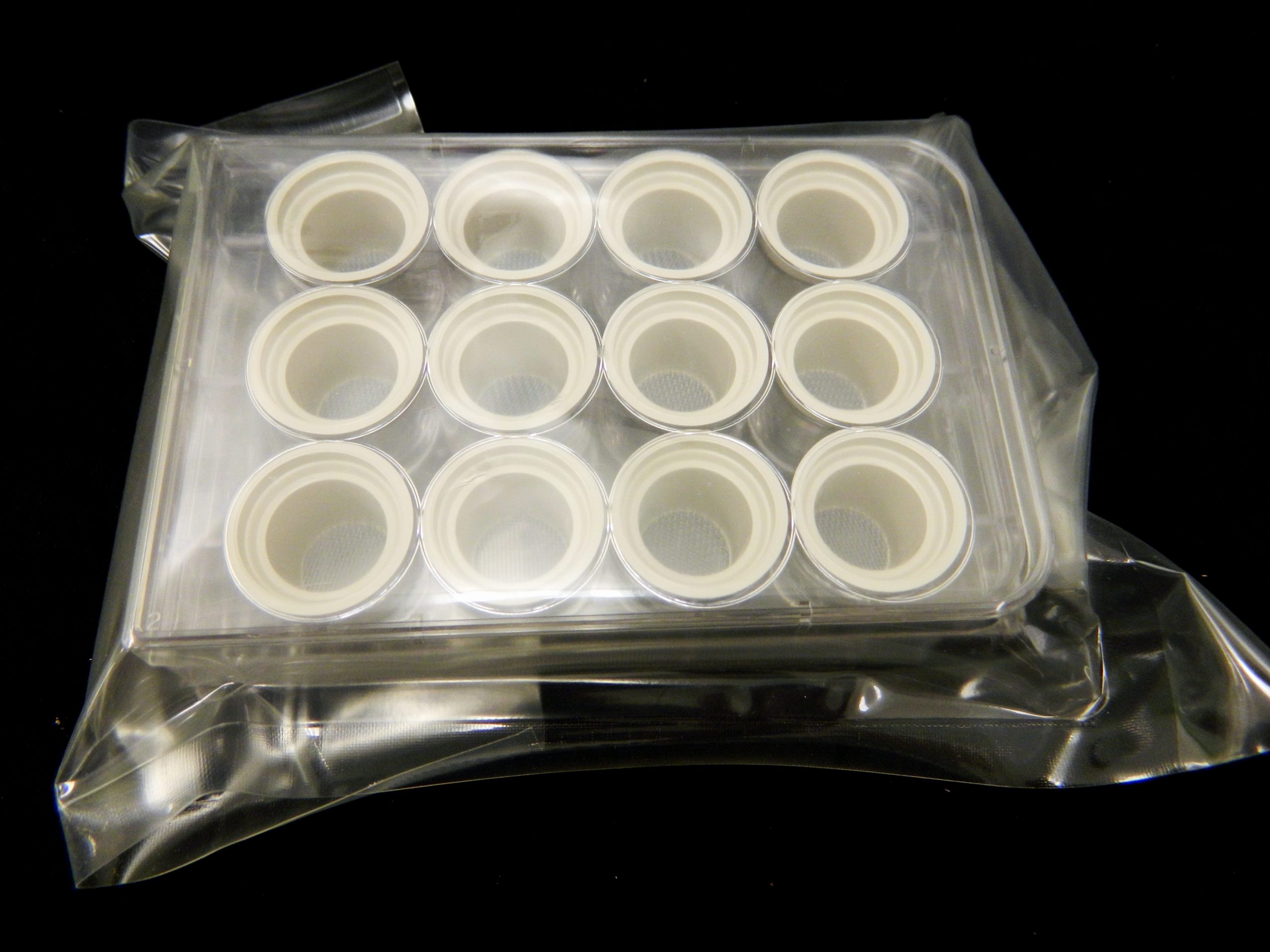 Section incubation plate with 12 inserts FD Neuro Technologies, Inc.