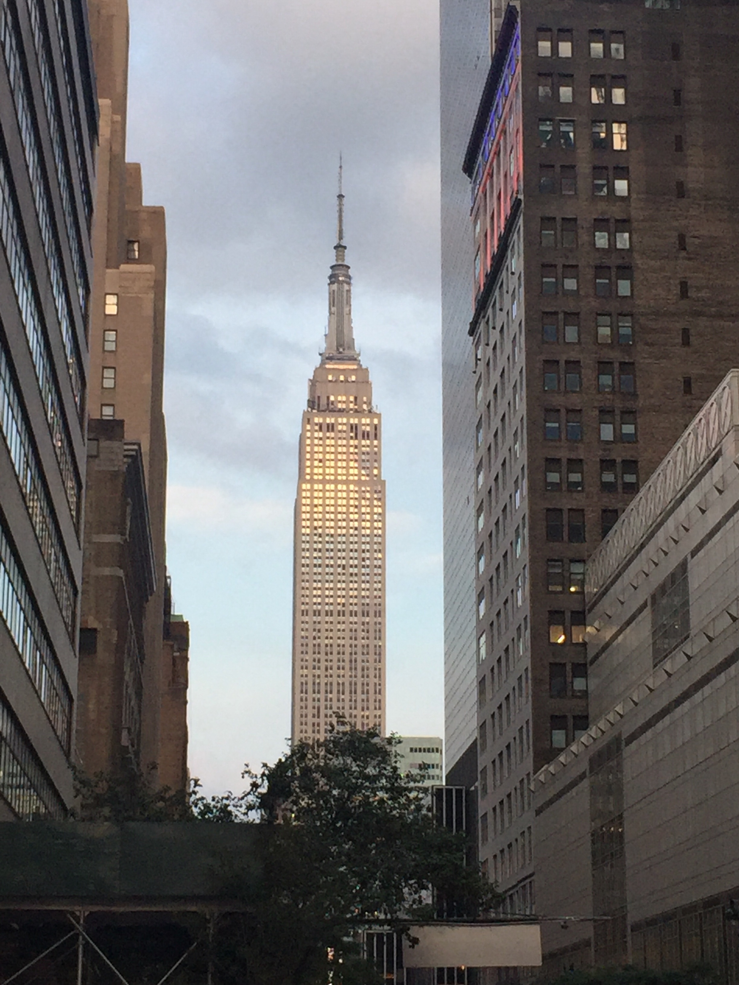 (Flash and) Fleur Friday No.  9