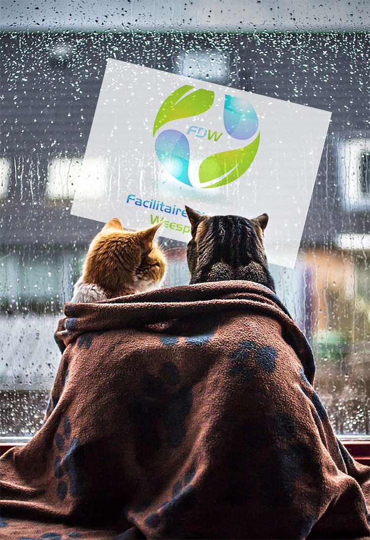 Weg met dat gespuis uit je huis FDW Schoonmaakbedrijf
