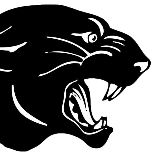 Bigelow Panthers Fearless Friday