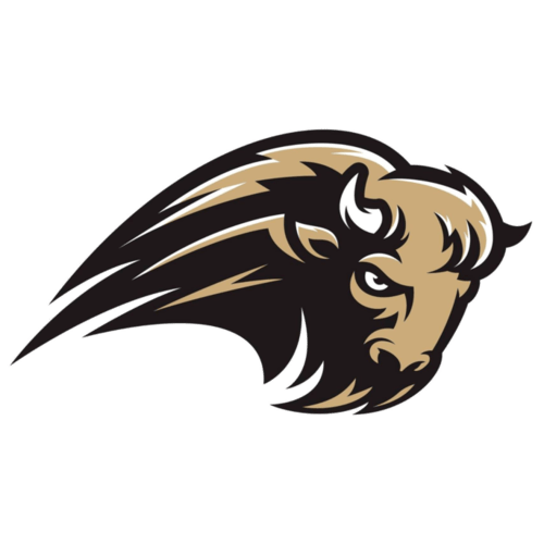 Carlisle Bison Fearless Friday