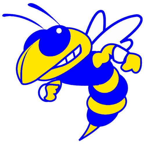 Mountain View Yellowjackets Fearless Friday