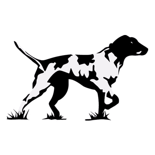 Van Buren Pointers Fearless Friday