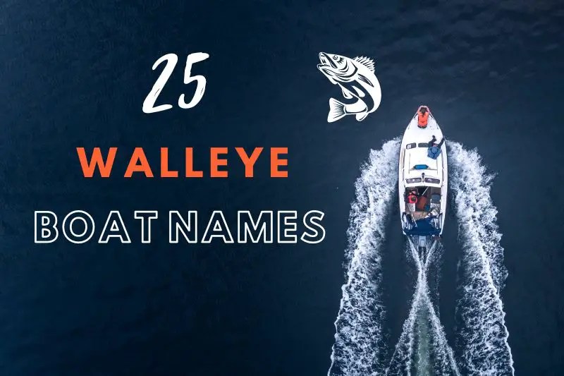 The Perfect Catch 25 Boat Names for Walleye Fishermen Fearless Names
