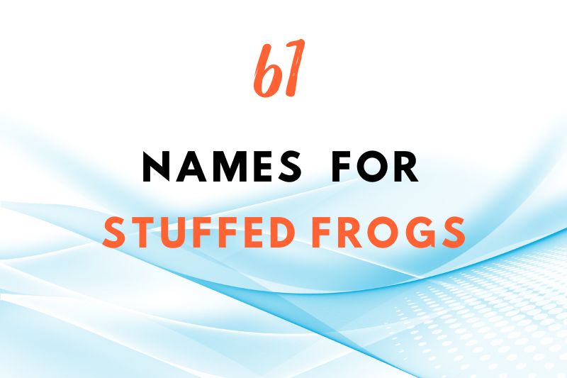 61 Adorable Names for Stuffed Frogs Fearless Names