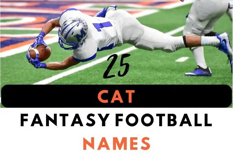 Fantasy Football Names 2024 Funny Cat Meade Sibilla