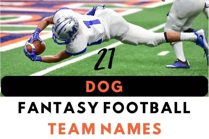 35 Pawsome Dog Fantasy Football Names Fearless Names