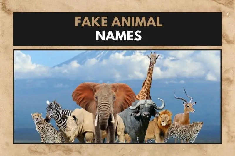 51 Imaginary Fake Animal Names to Spark Your Creativity Fearless Names