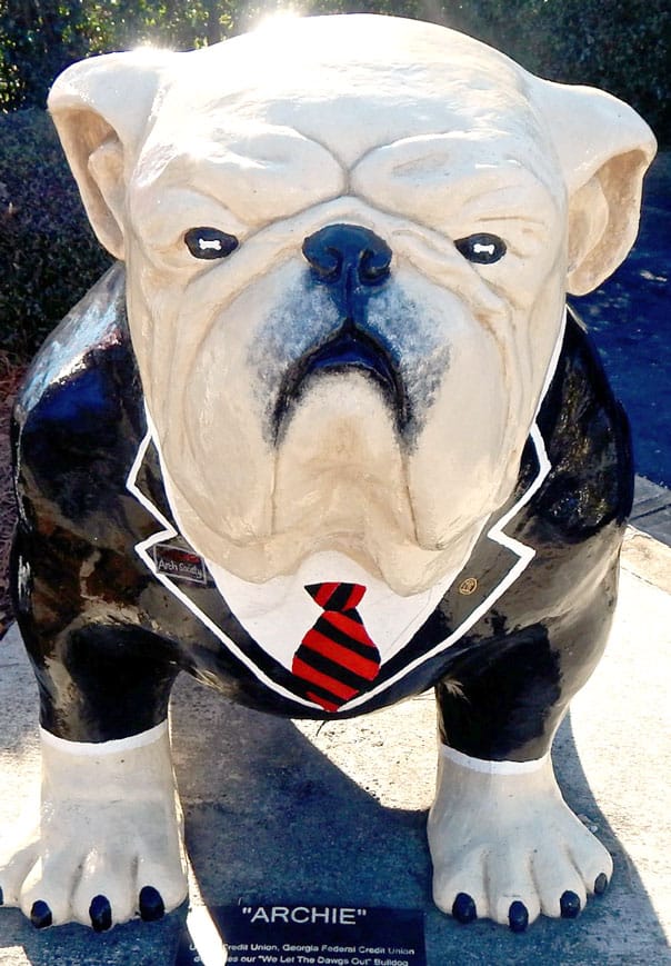 Hidden Gems Athens, GA Travel Guide Feast + West