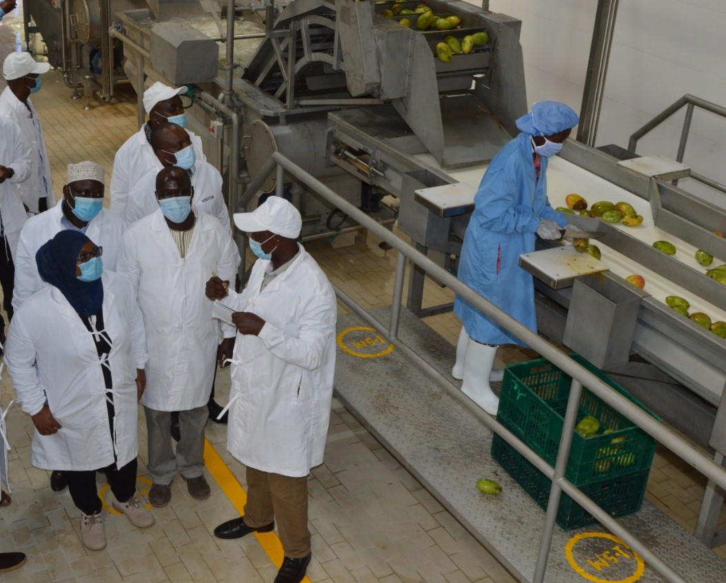 Feast Foods Processors Limited Fruit processor of aseptically packed