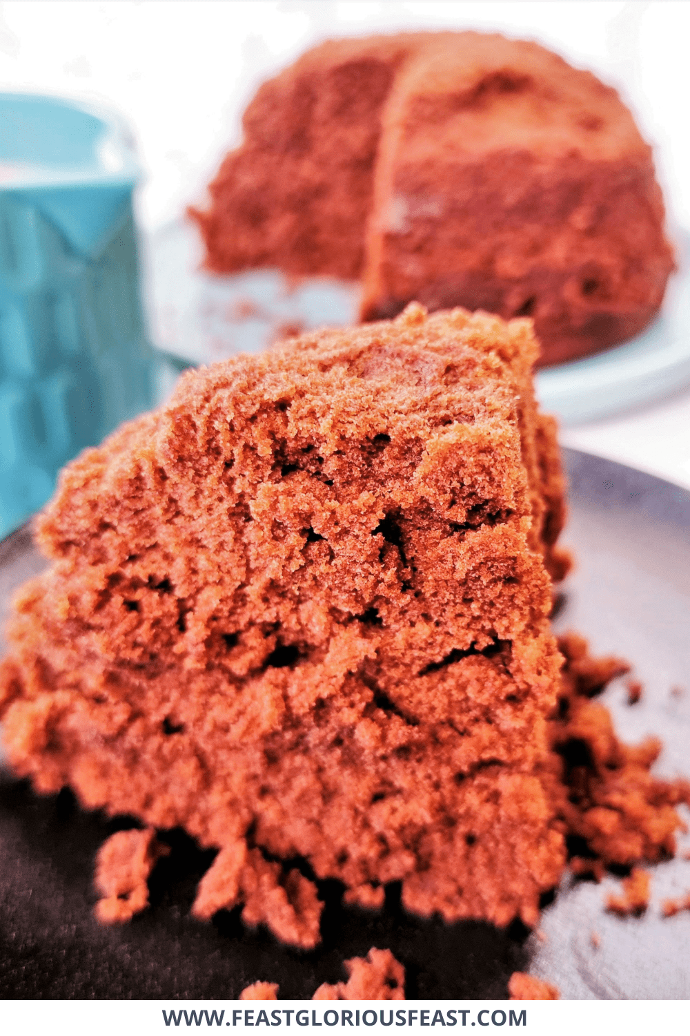 Microwave Chocolate Sponge Pudding Feast Glorious Feast