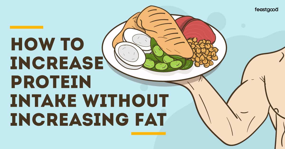 How To Increase Protein Intake Without Increasing Your Fat