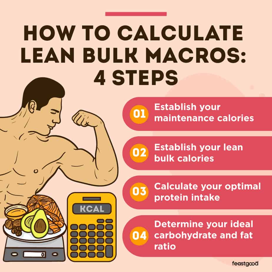 Lean Bulk Macros How To Calculate (The Proper Way)