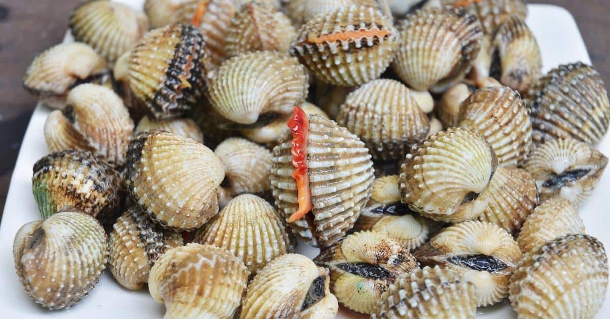 27 Fish With The Most Protein List)