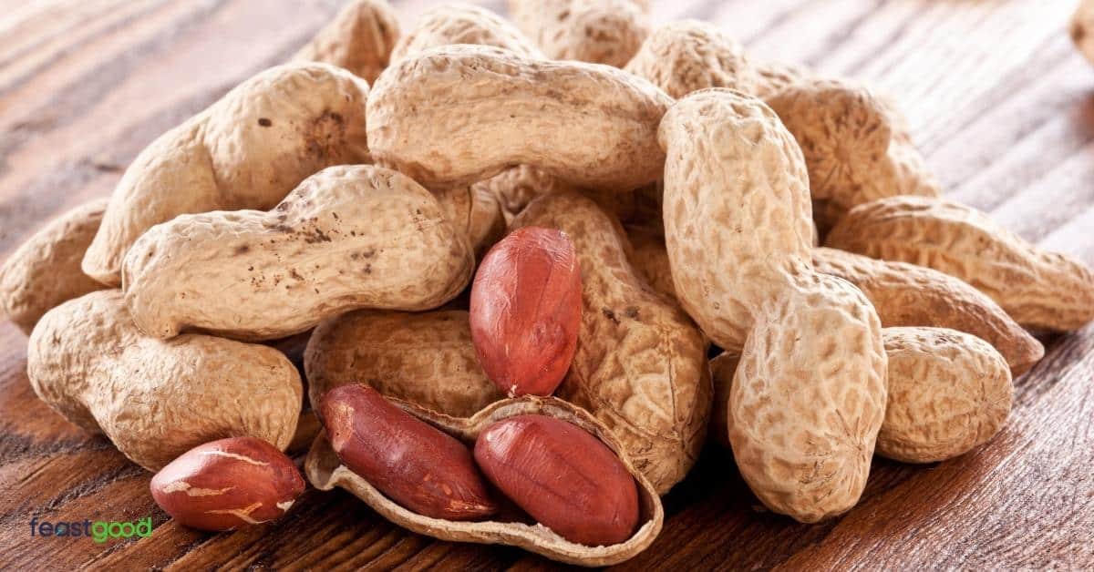 15 Beans & Legumes With The Most Protein List)