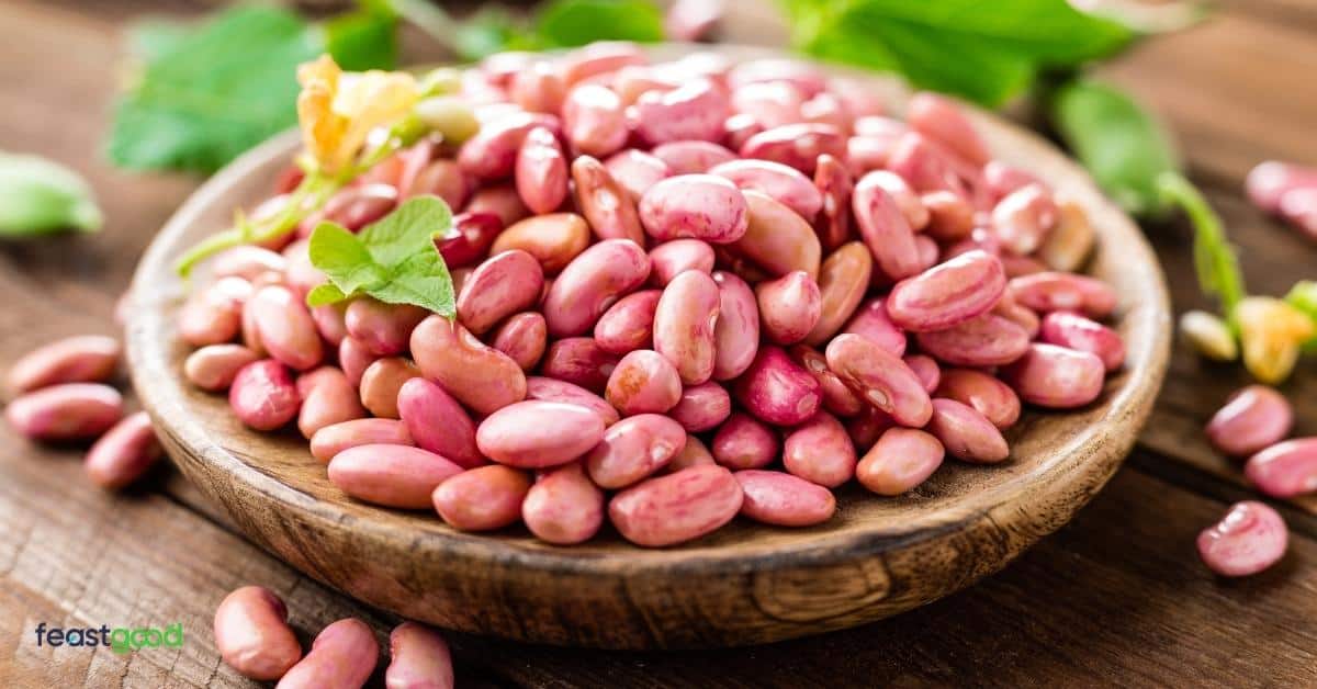 15 Beans & Legumes With The Most Protein List)