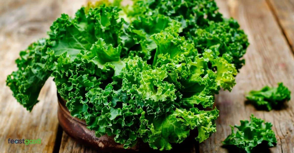 17 Best HighFiber LowCalorie Foods (As Rated By Dietitian