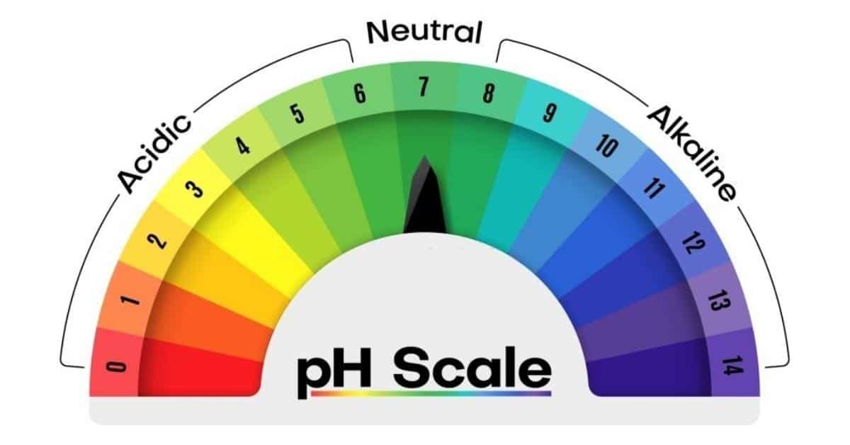 Is Protein Powder Acidic or Alkaline? (We Examine 7 Types)
