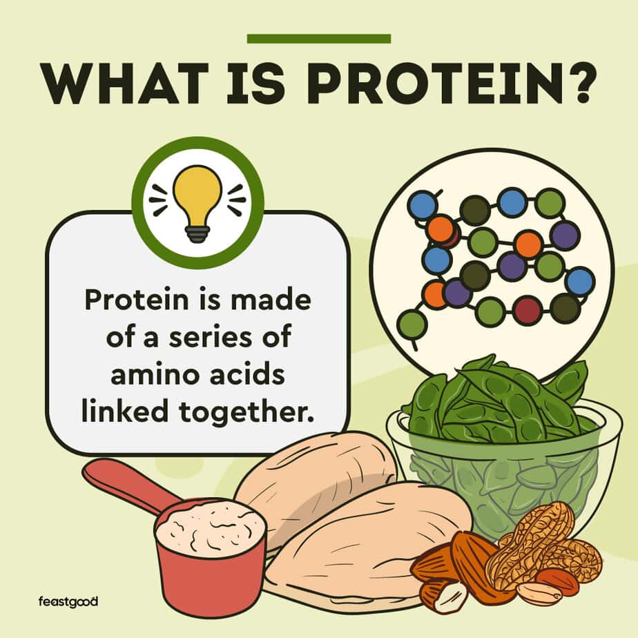 Protein vs. Amino Acids What Are The Differences?