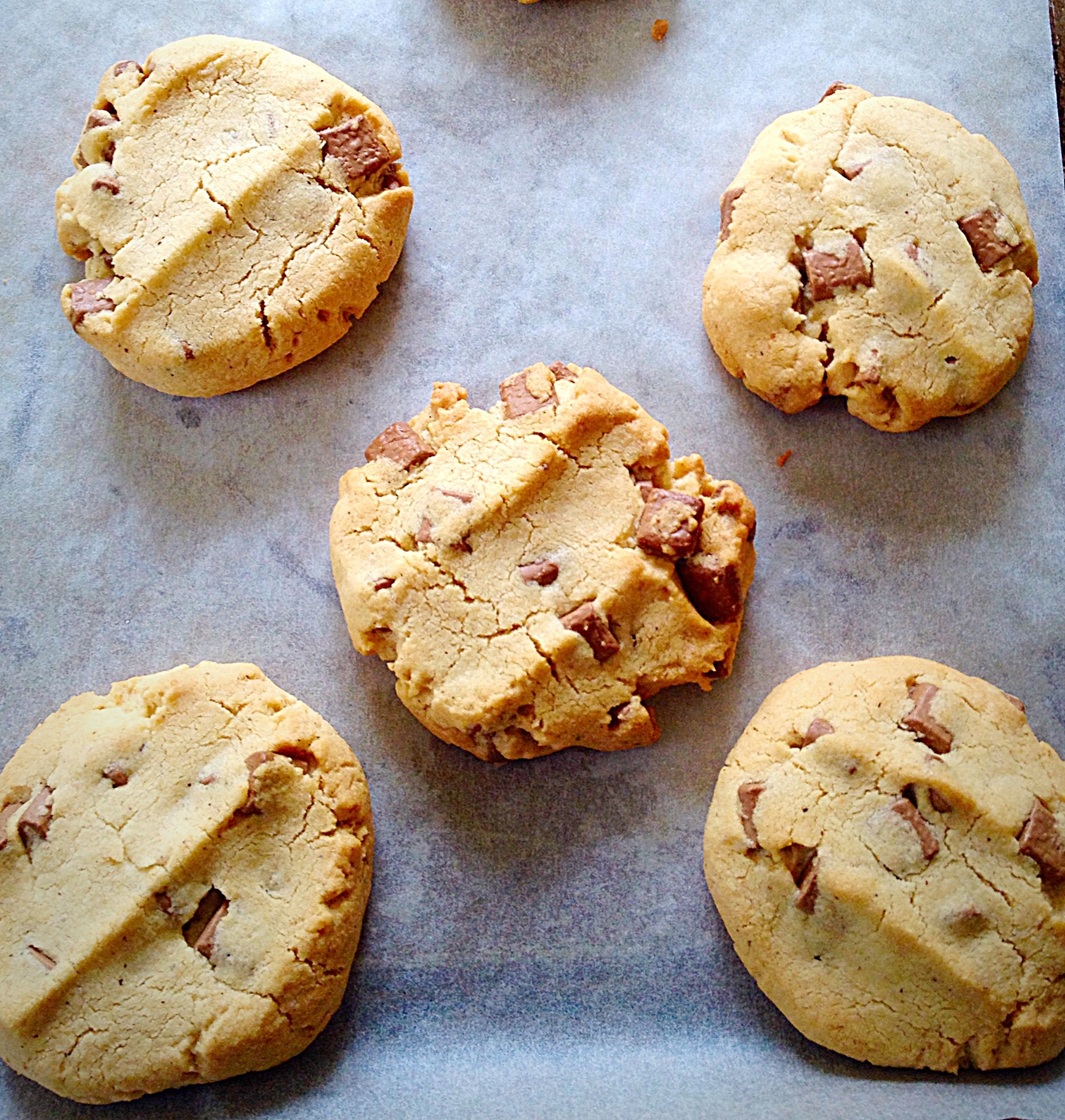 Hazelnut Chocolate Chunk Cookies Gluten Free Feasting Is Fun