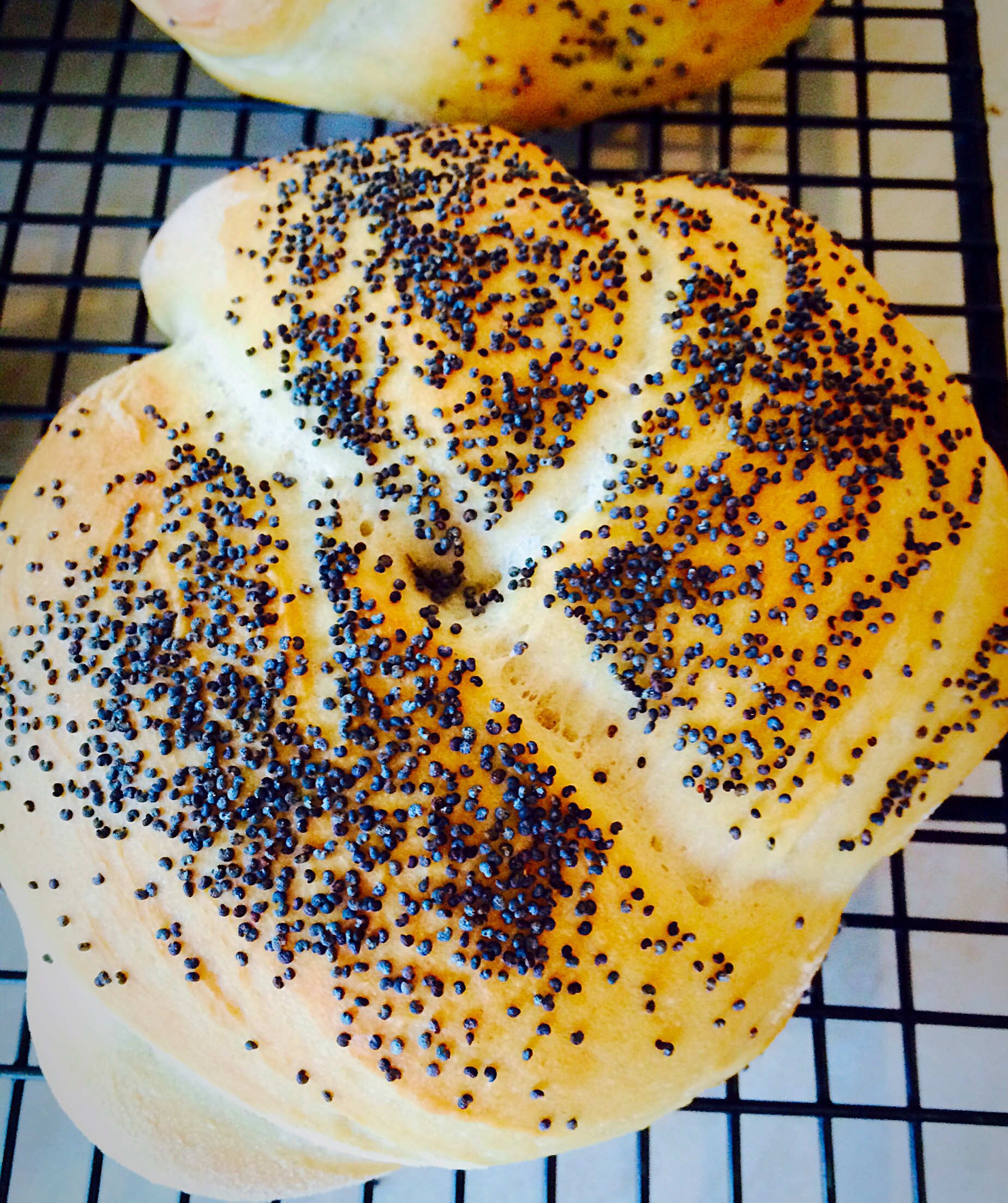 Knotted Poppyseed Rolls Feasting Is Fun