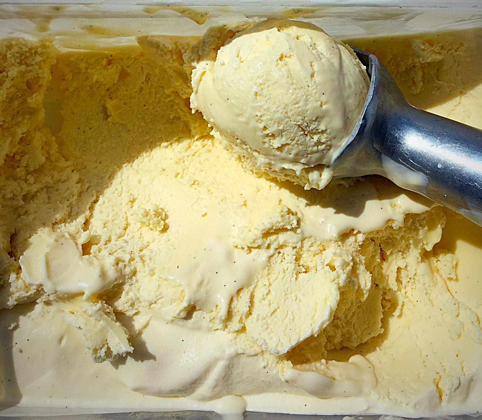 Very Vanilla Ice Cream Feasting Is Fun