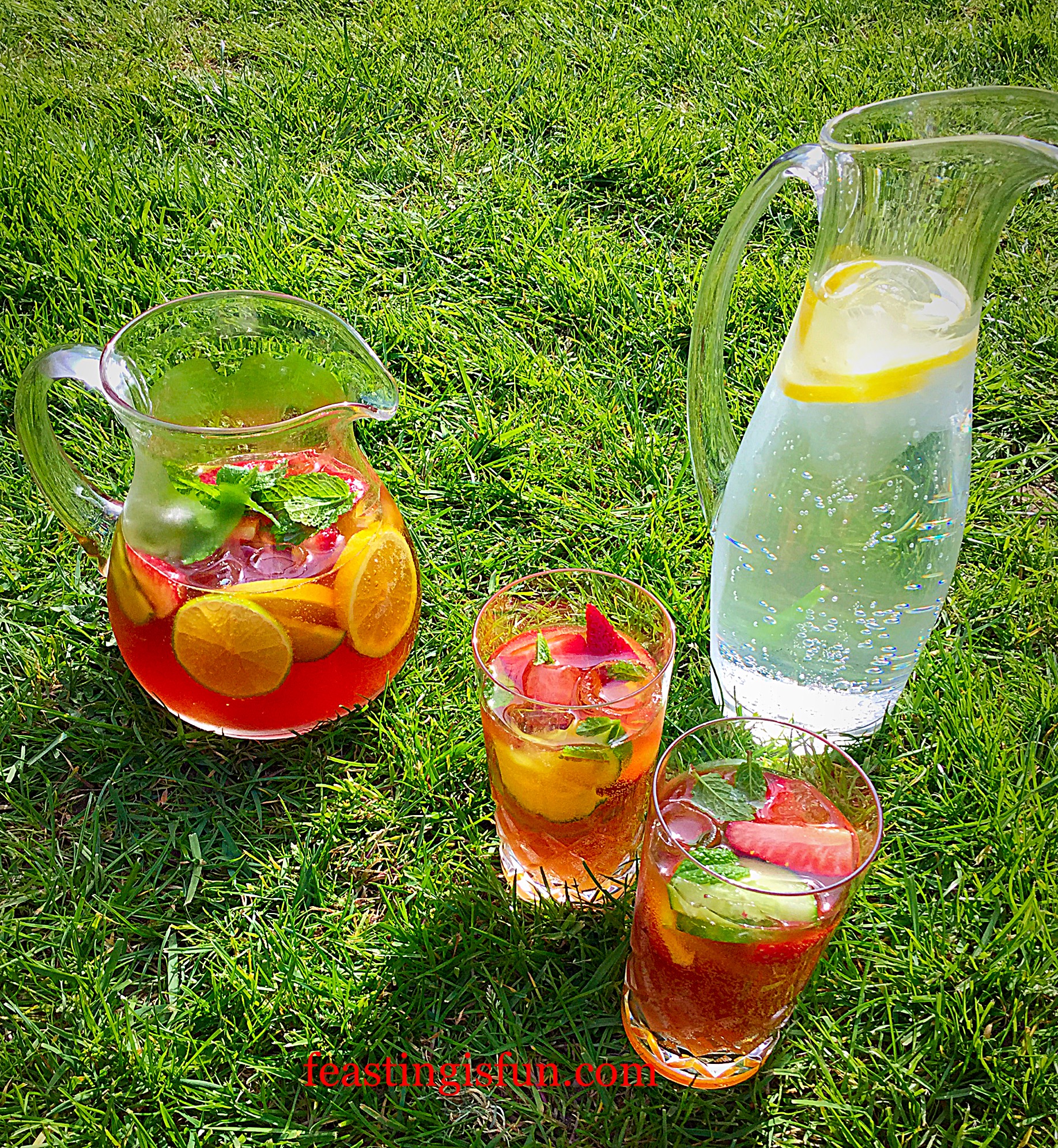 Franklins Fruity Summer Drink Feasting Is Fun