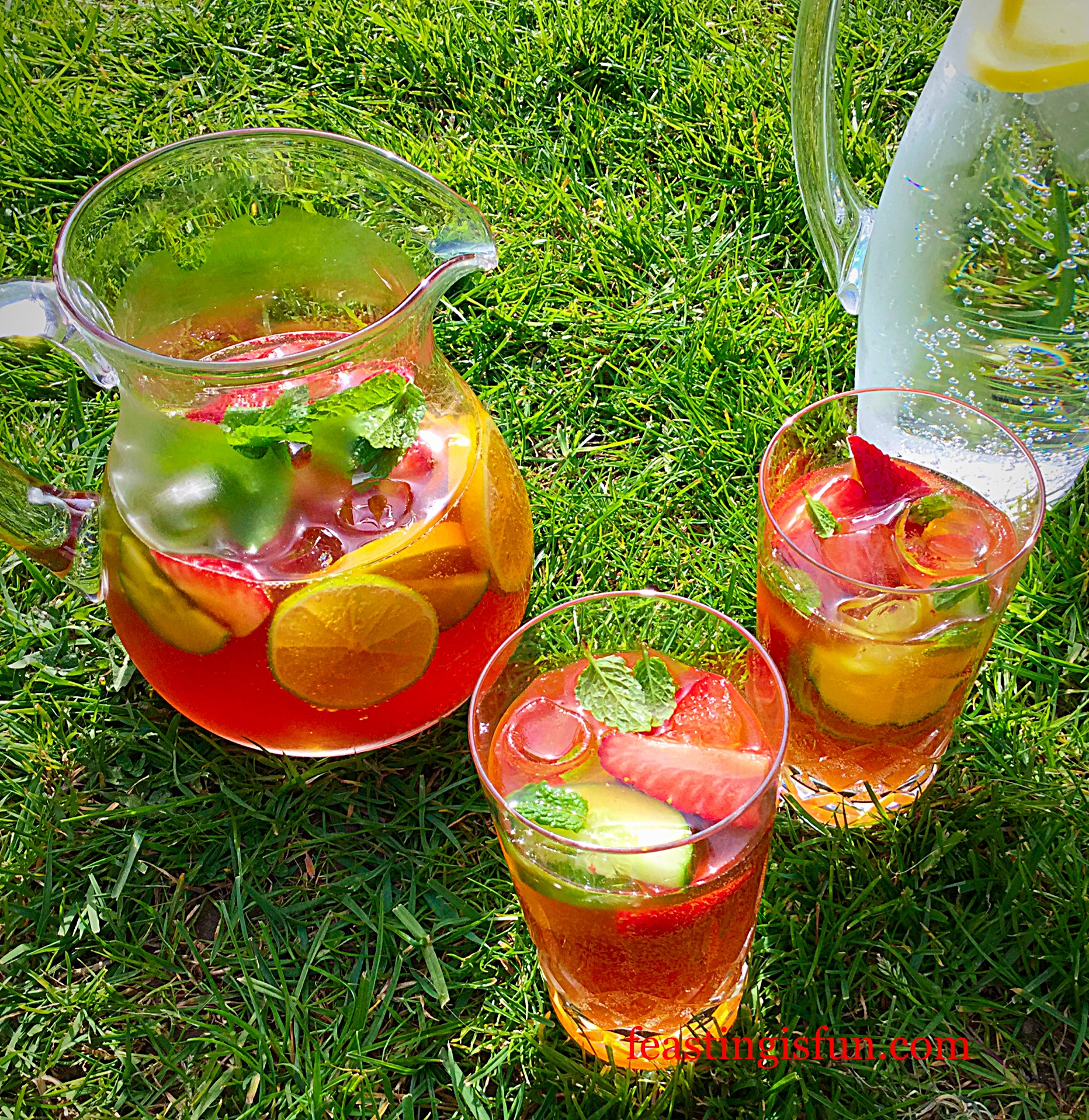 Franklins Fruity Summer Drink Feasting Is Fun