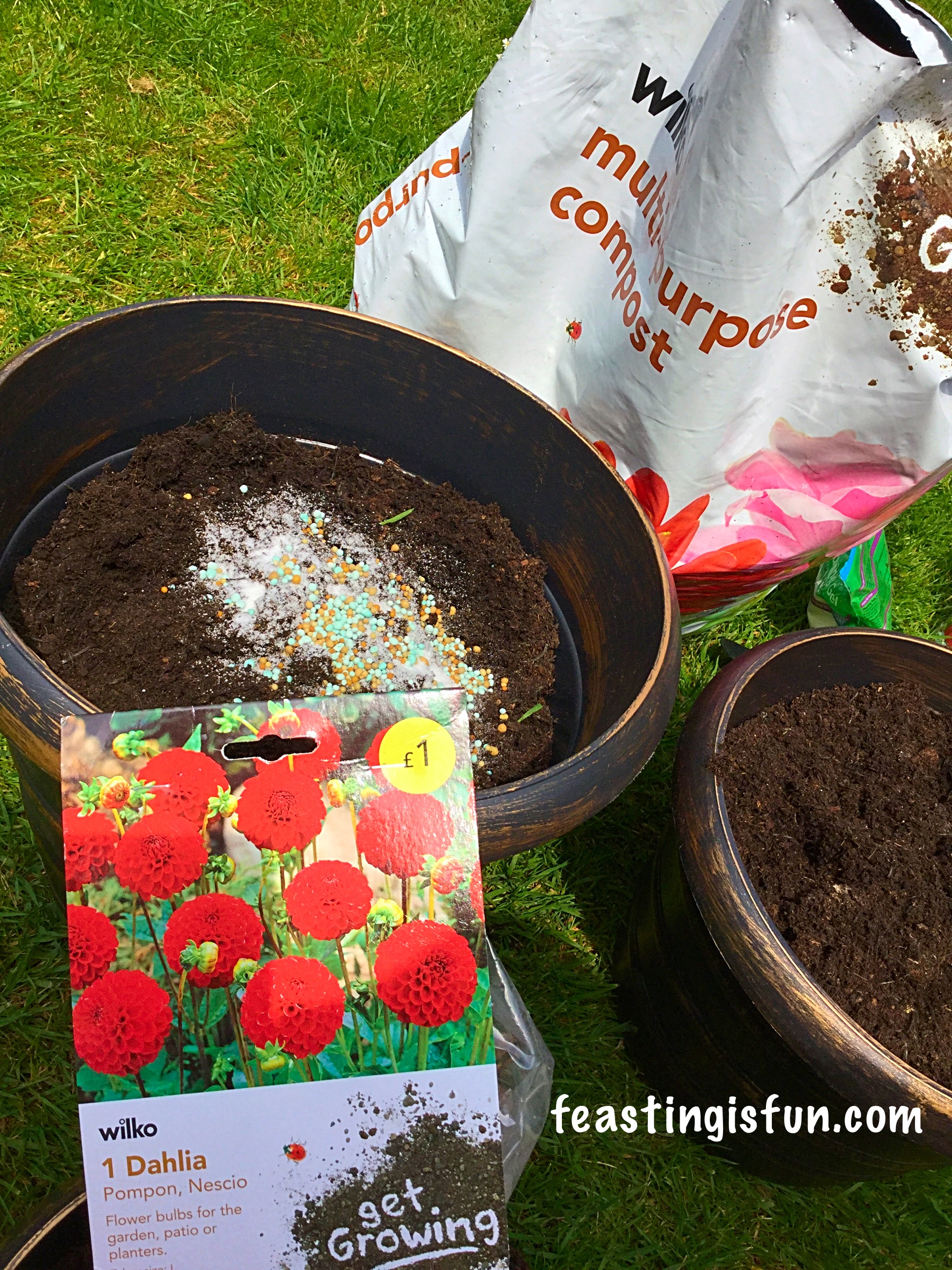 Wilko Gardening Product Review Feasting Is Fun