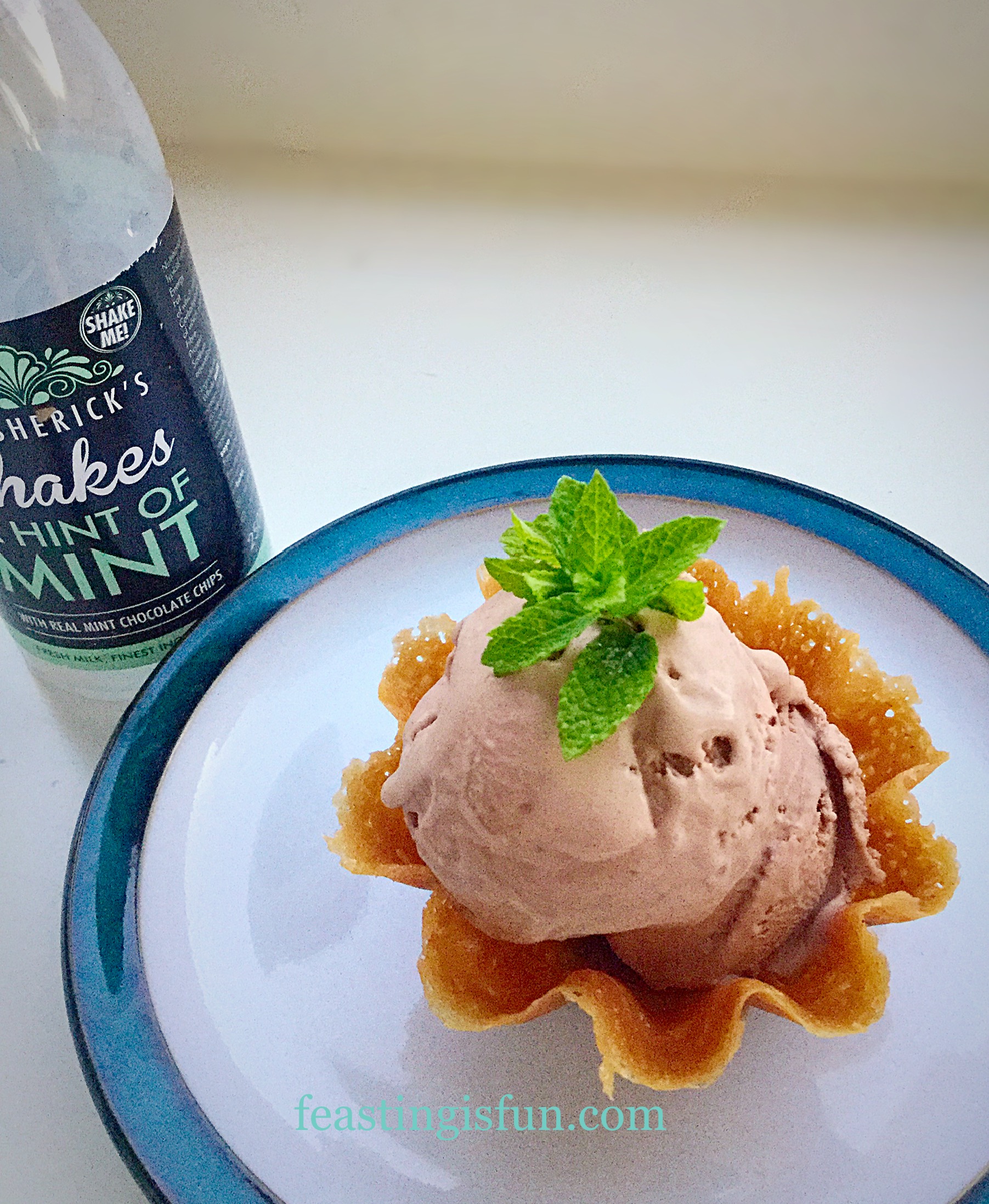 Mint Chocolate Milkshake Ice Cream Feasting Is Fun