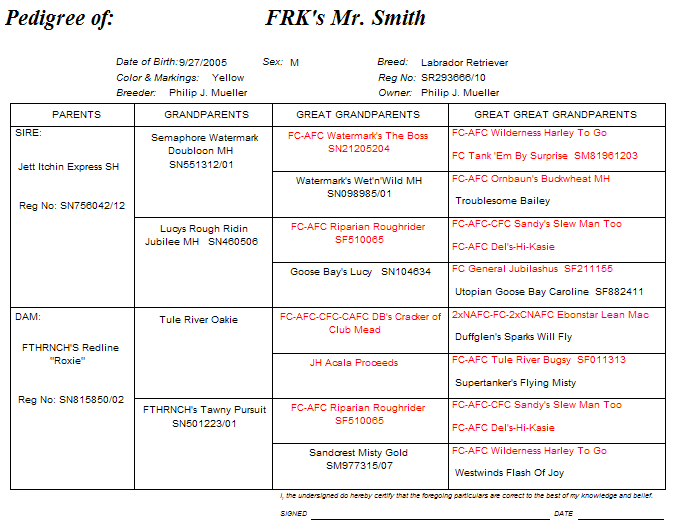 Training a puppy Standard dog command hand signals