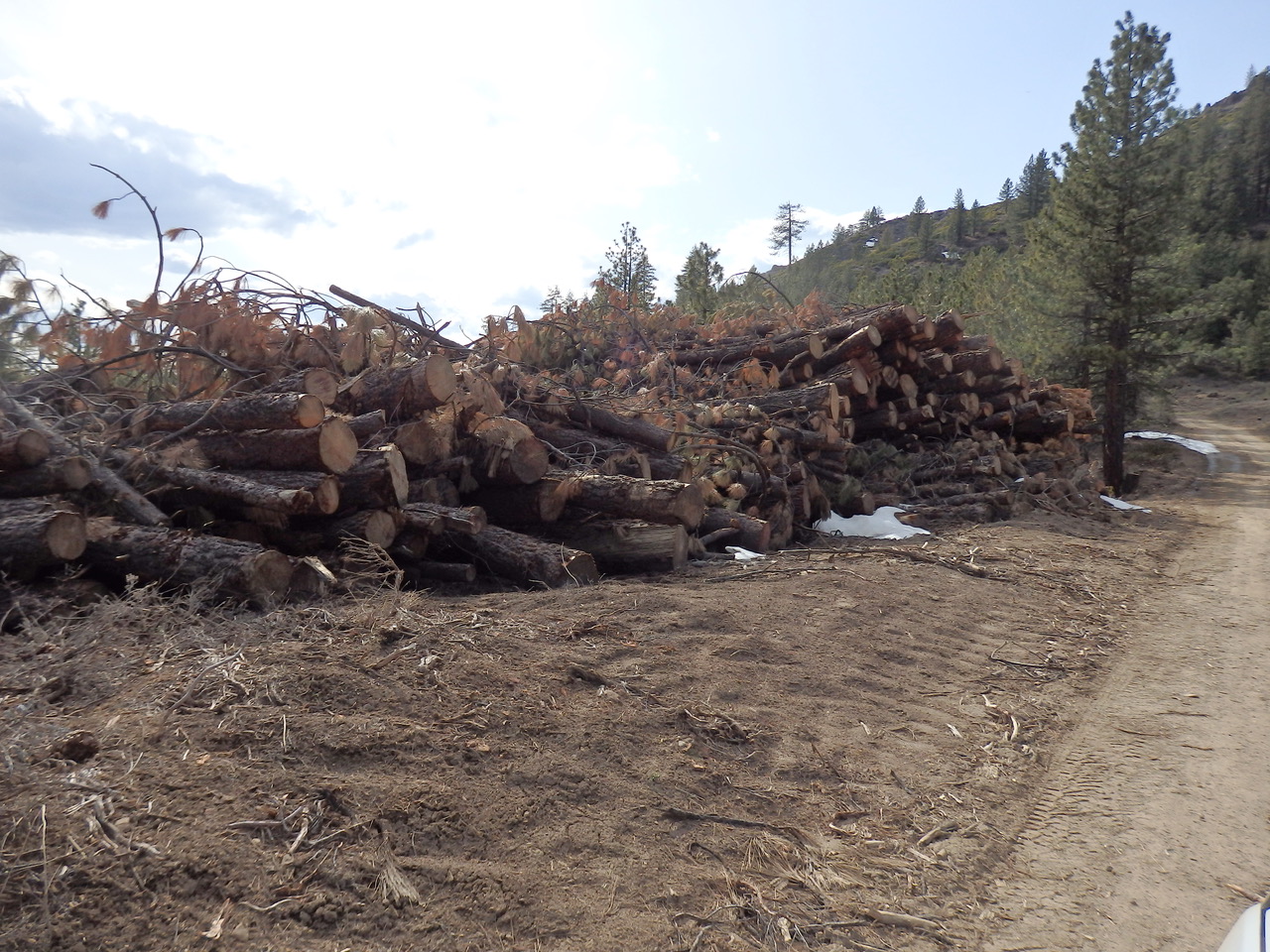 Protection Project” Plumas National Forest at Risk from