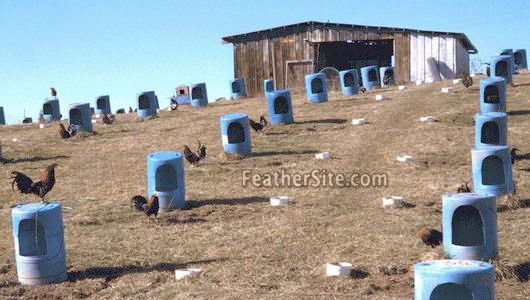 Game Fowl Farms Near Me / The Frontier Oklahoma Tops List Of Illegal