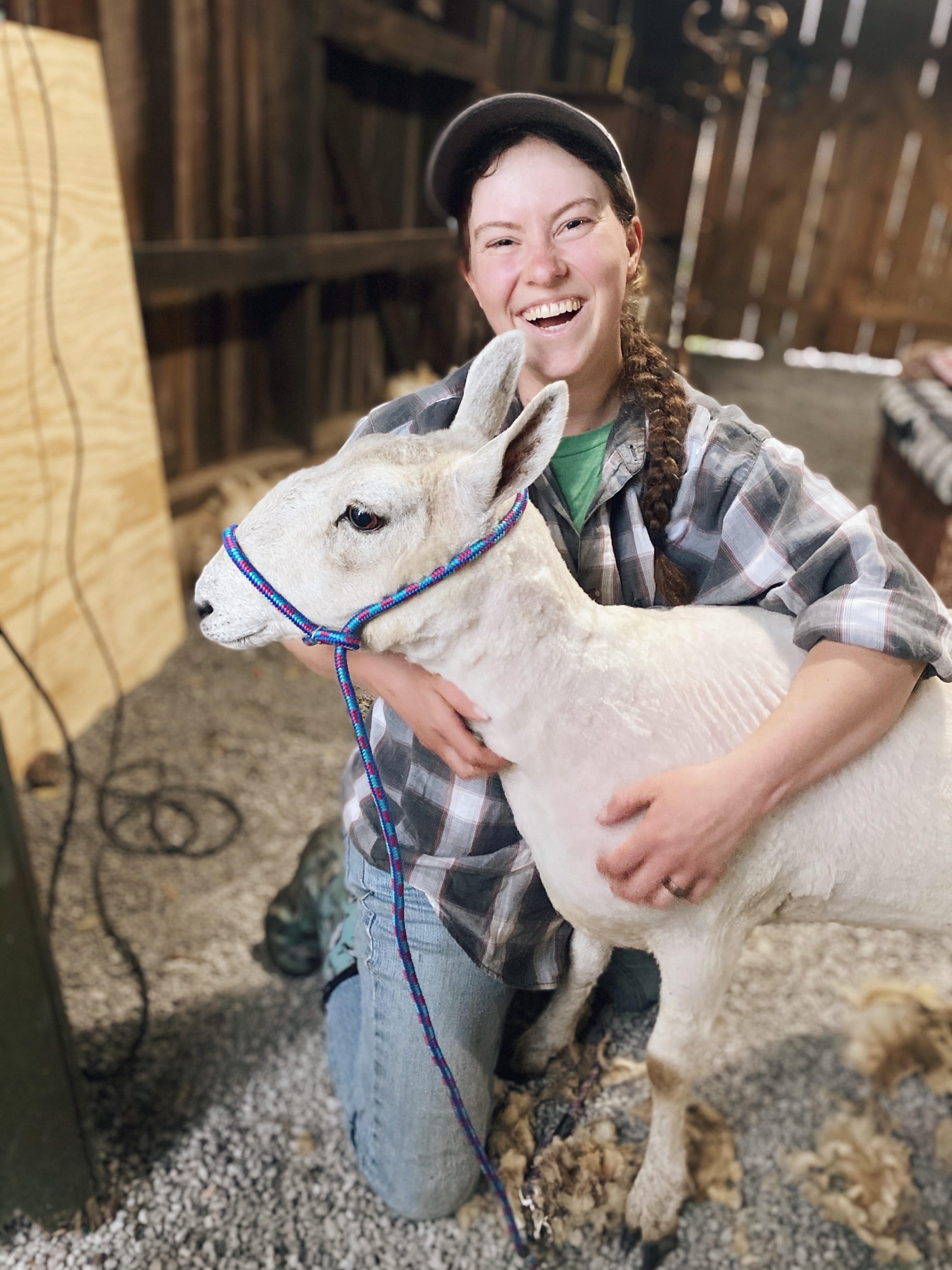 Shearing Day for Noelle! FeatherStone Farm