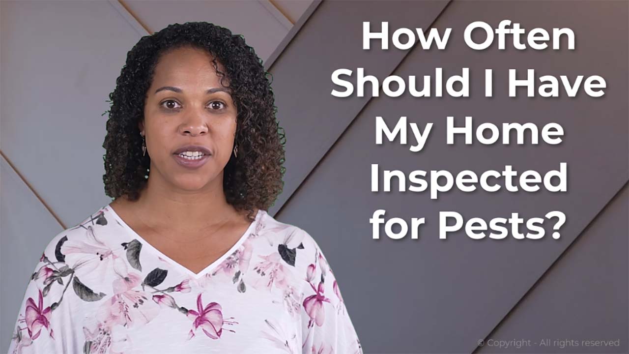 Rancho Cucamonga pestcontrol