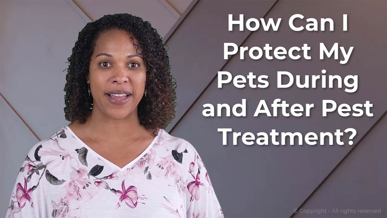 Jonesboro pestcontrol