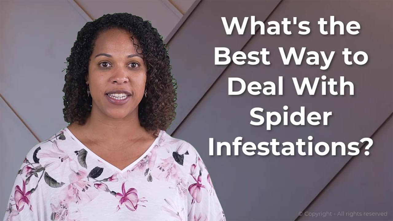 Jonesboro pestcontrol