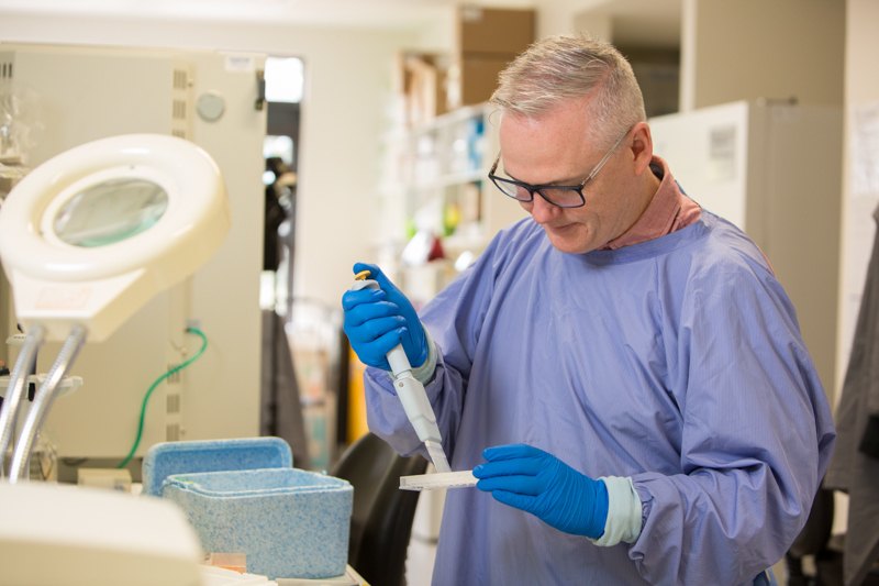 Bowel cancer Fiona Elsey Cancer Research Institute