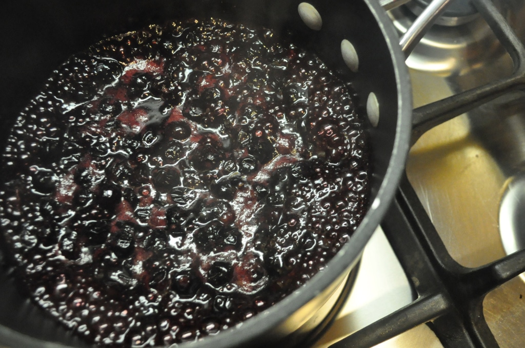 Blueberry Reduction Fed & Fit