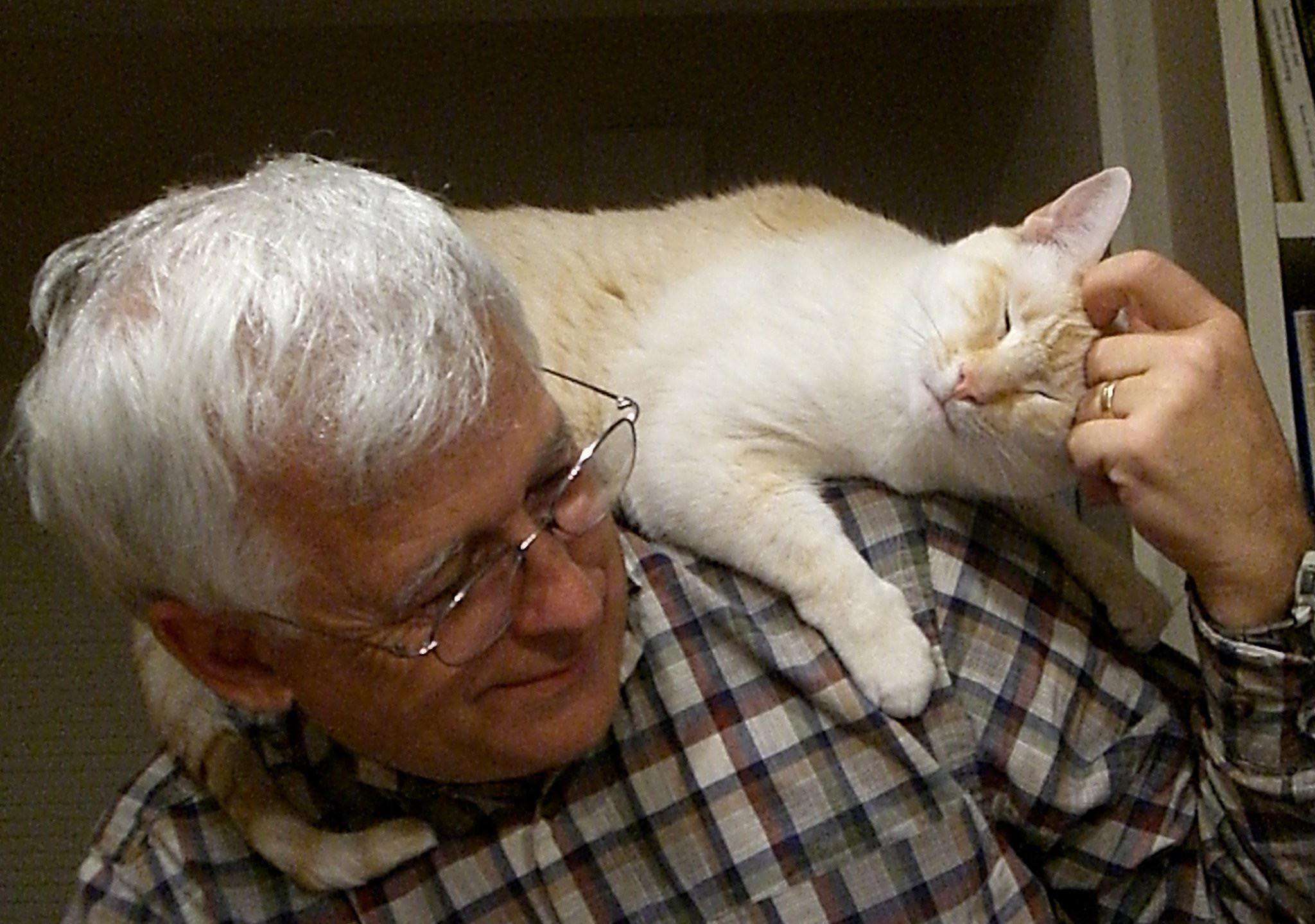 Capitalism Has Given Us Chemo for Cats