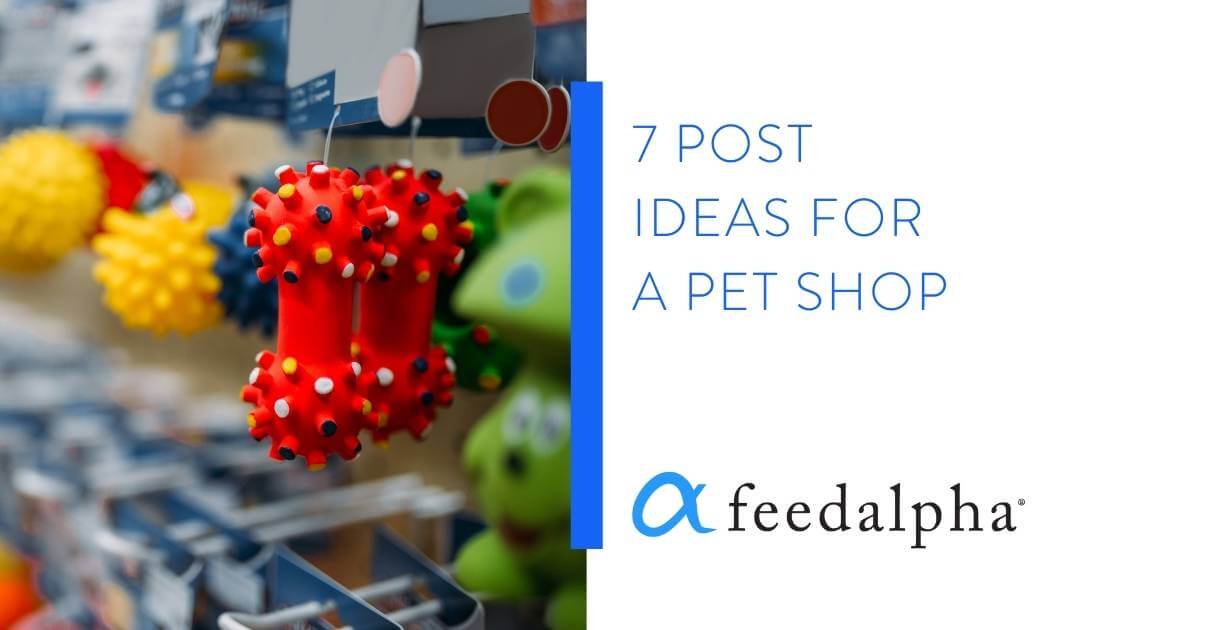 7 Post Ideas For A Pet Shop feedalpha Social Media Automation