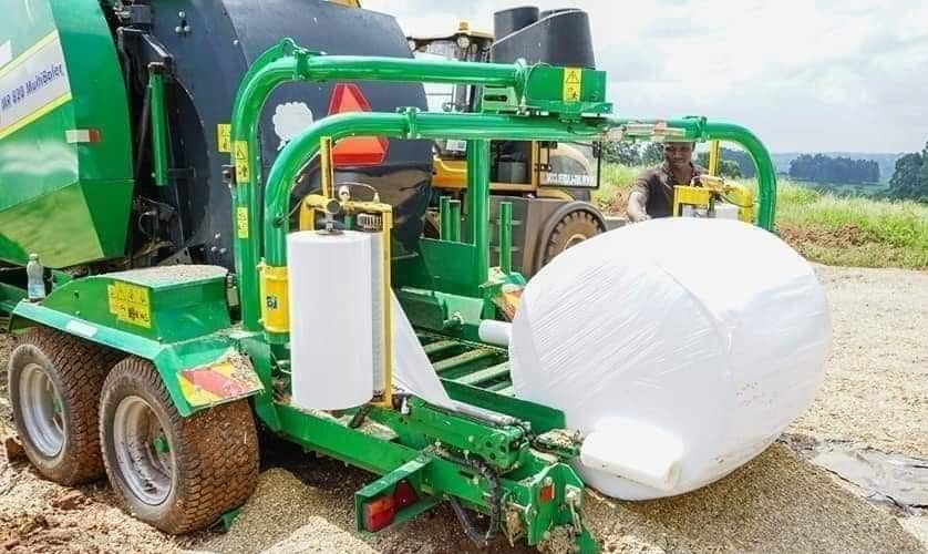 Benefits of Maize Silage for Dairy Cows Feed & Fodder